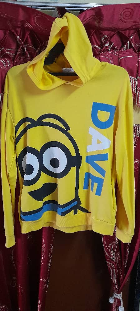 Hoodie Minion L