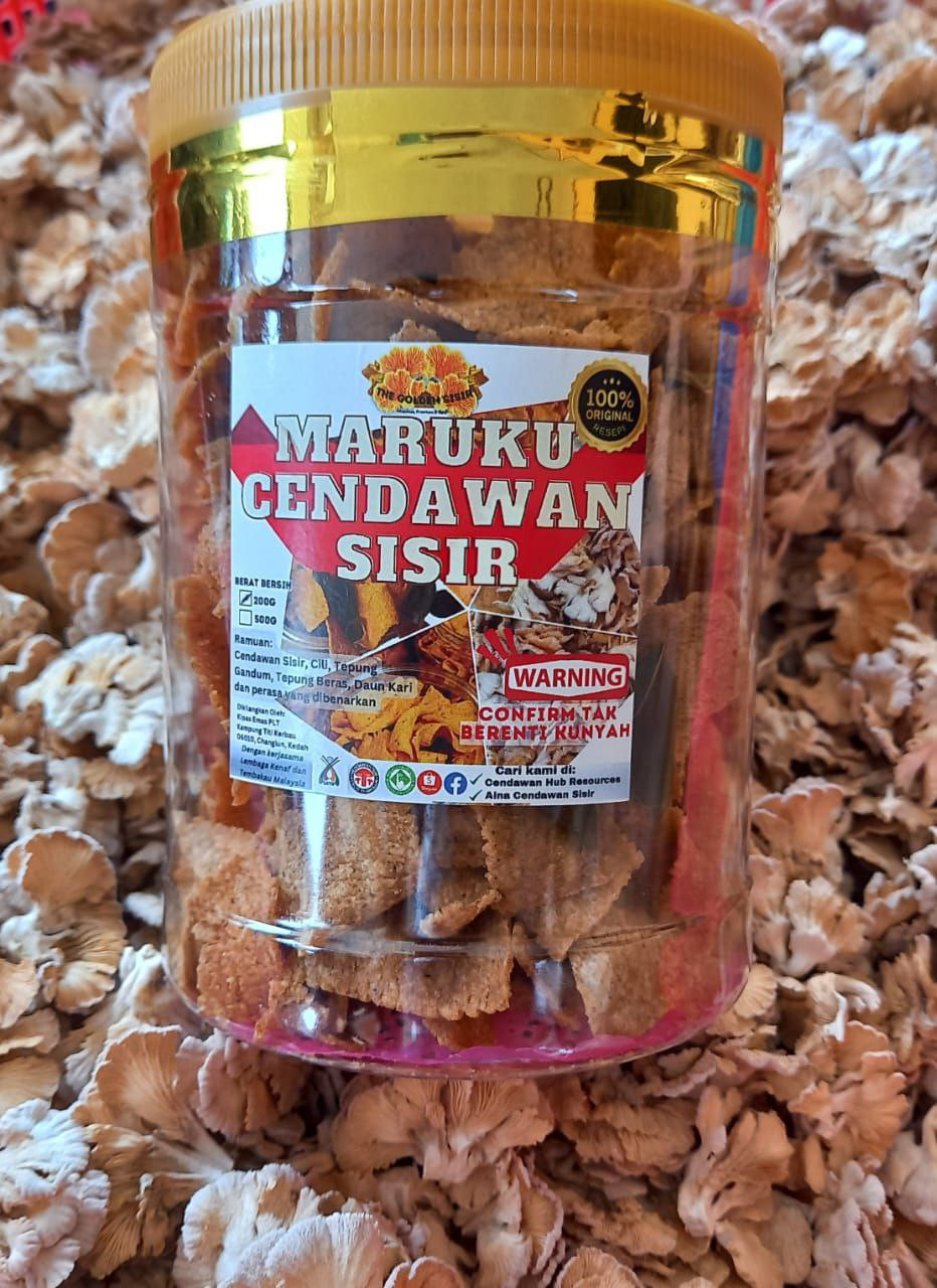 Maruku Cendawan Sisir