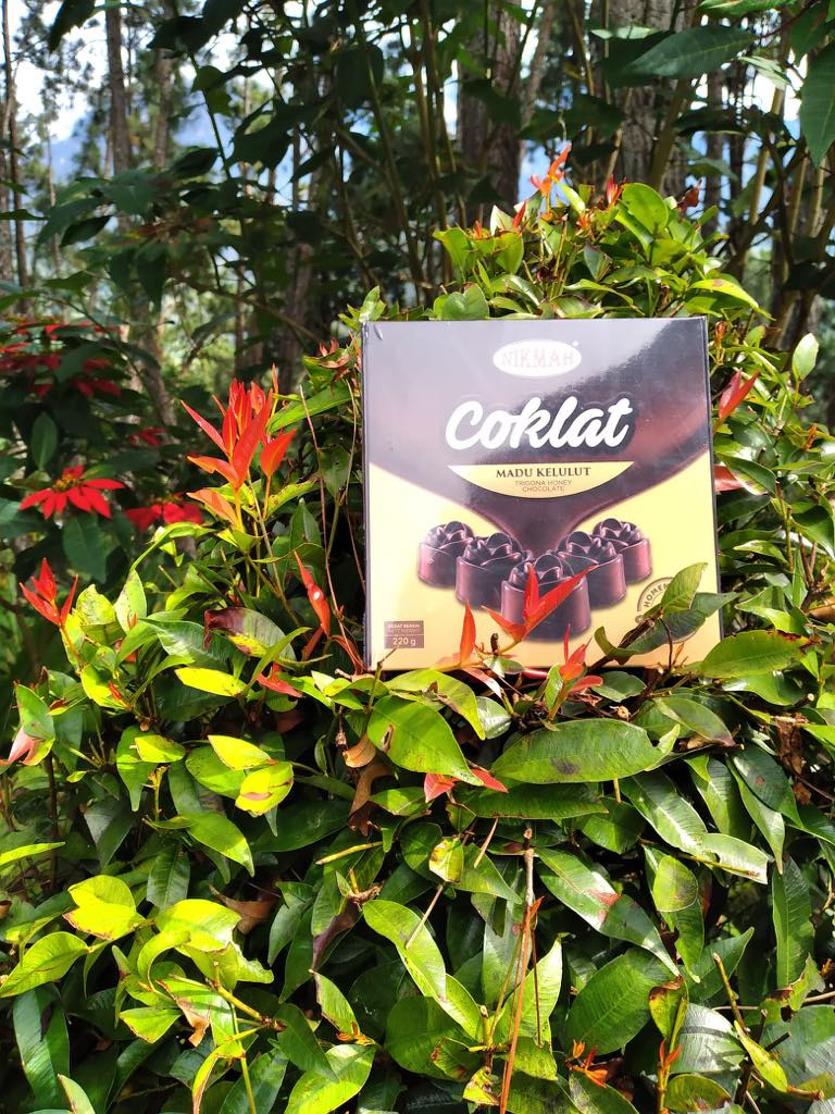 colek madu kelulut